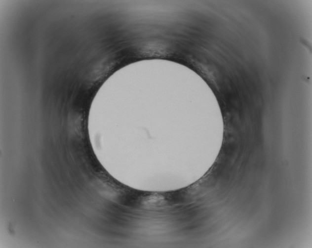 X0000098150162200804241748