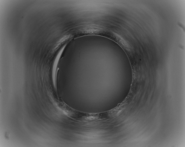 X0000098150163200804241748