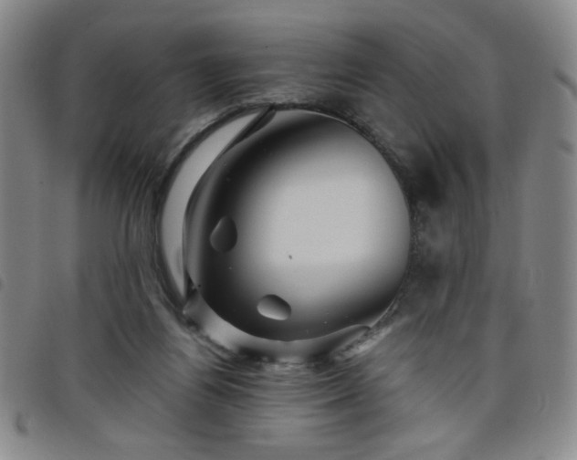 X0000098150164200804241748