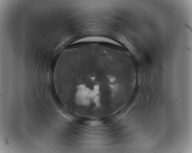 X0000098150165200804241748