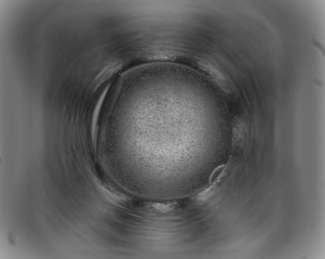 X0000098150166200804241748