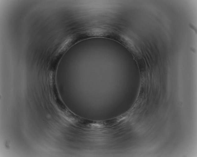 X0000098150167200804241748