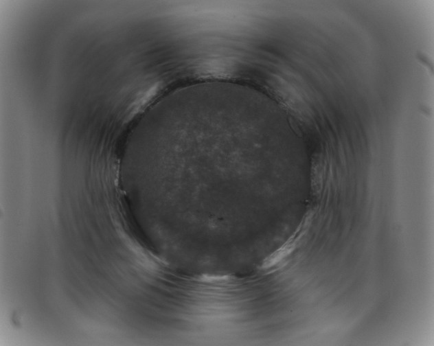 X0000098150168200804241748