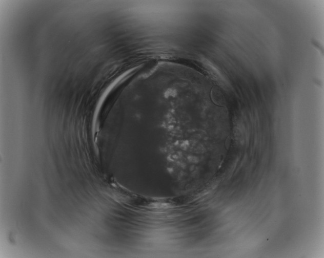 X0000098150169200804241748