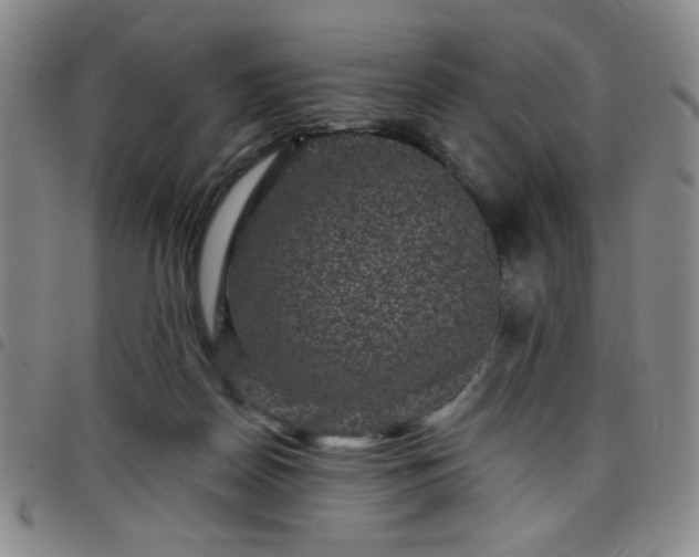 X0000098150170200804241748