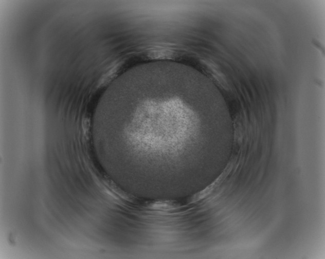 X0000098150171200804241748