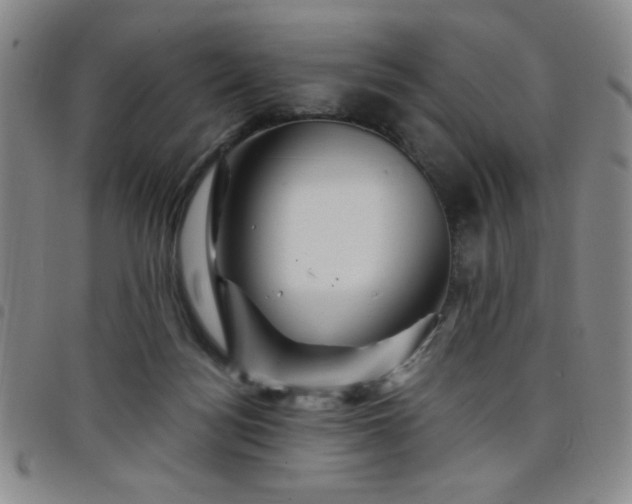 X0000098150172200804241748