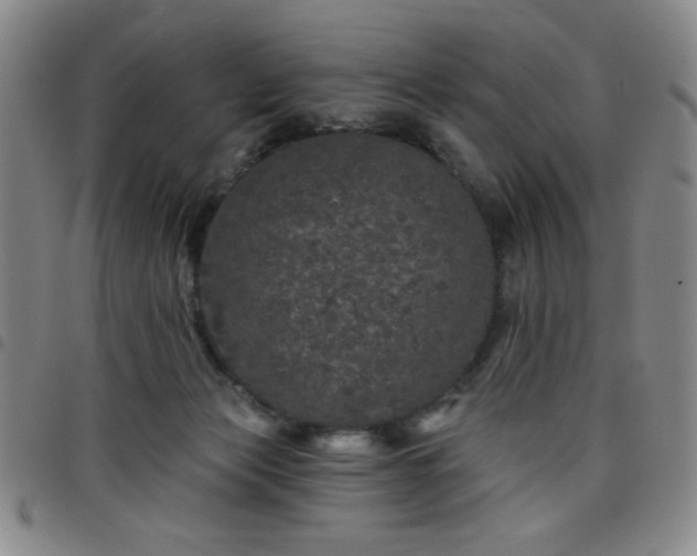 X0000098150173200804241748