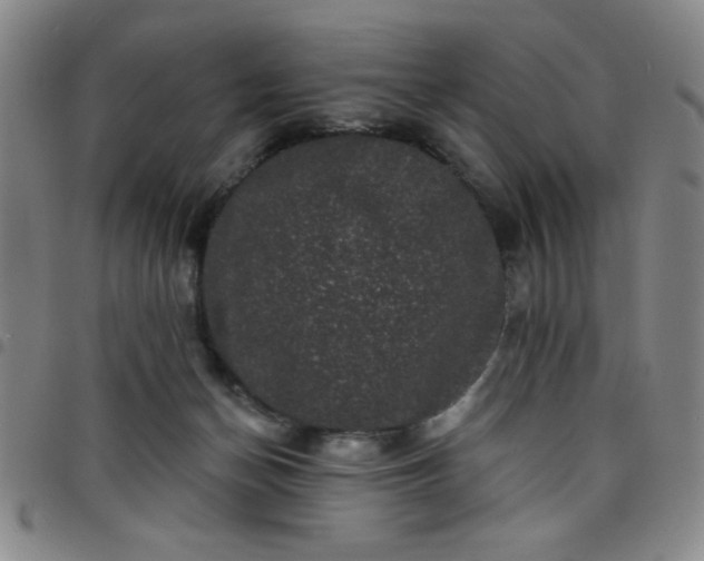 X0000098150174200804241748