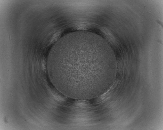 X0000098150175200804241748
