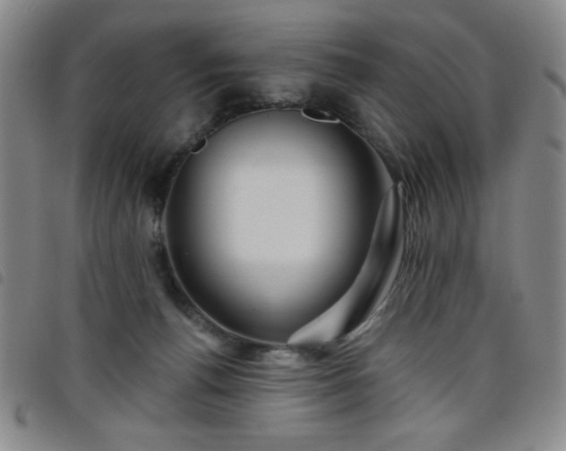 X0000098150176200804241748