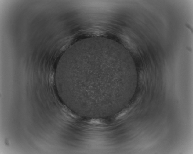 X0000098150177200804241748