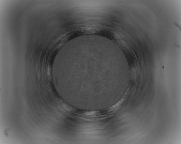 X0000098150178200804241748