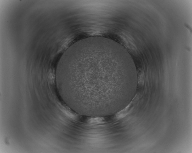 X0000098150179200804241748