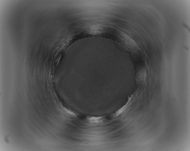 X0000098150180200804241748