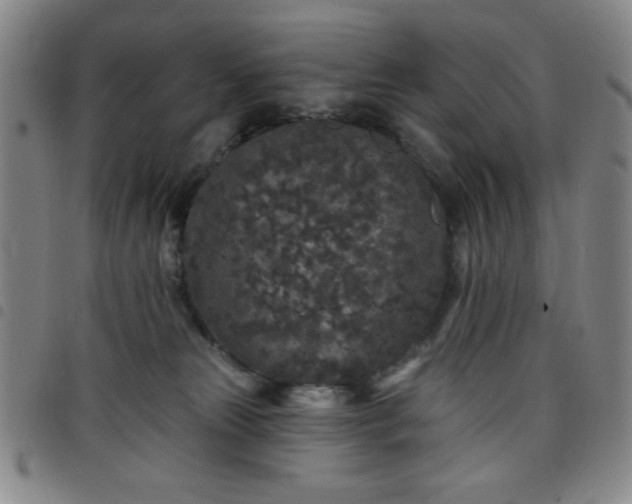 X0000098150181200804241748