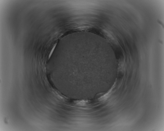 X0000098150182200804241748