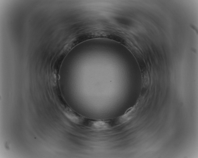 X0000098150183200804241748