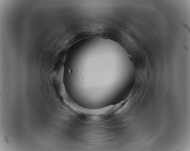 X0000098150184200804241748