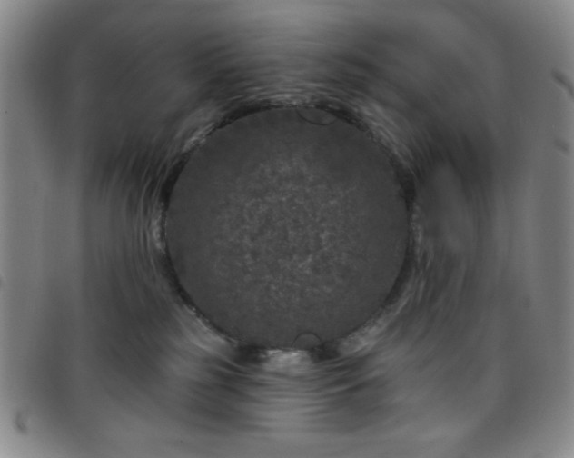 X0000098150185200804241748