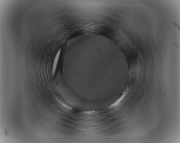 X0000098150186200804241748