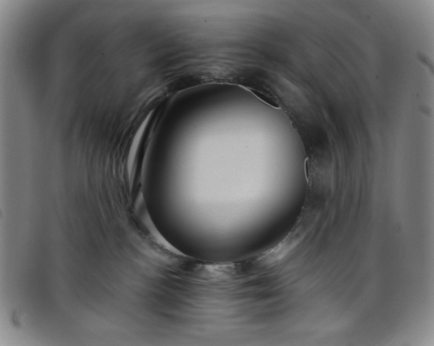 X0000098150188200804241749