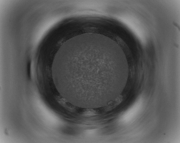 X0000098150189200804241749