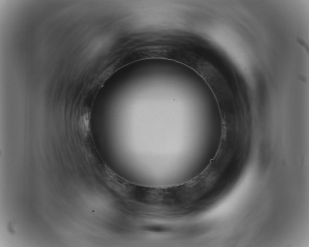 X0000098150190200804241749