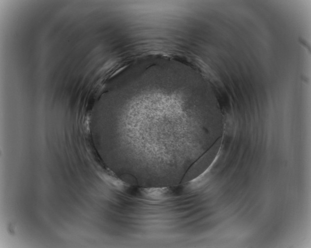 X0000098150191200804241749