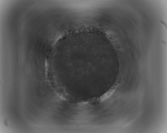 X0000098150192200804241749