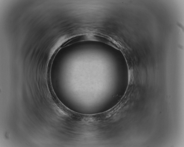 X0000098150195200804241748