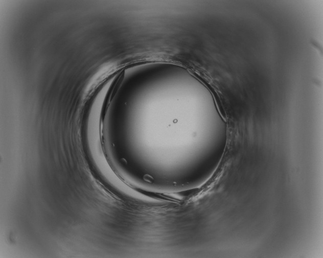 X0000098150197200804241748
