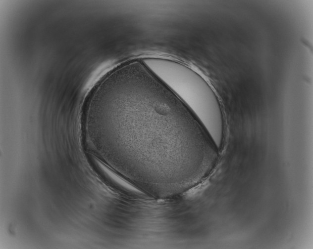 X0000098150199200804241748