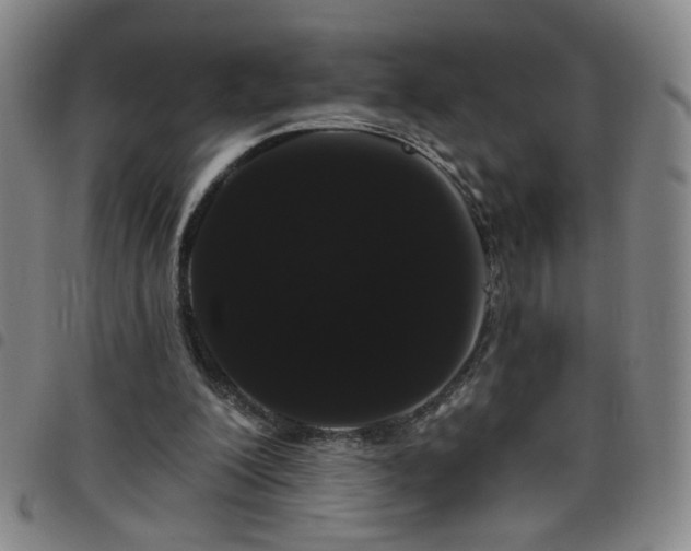 X0000098150200200804241748