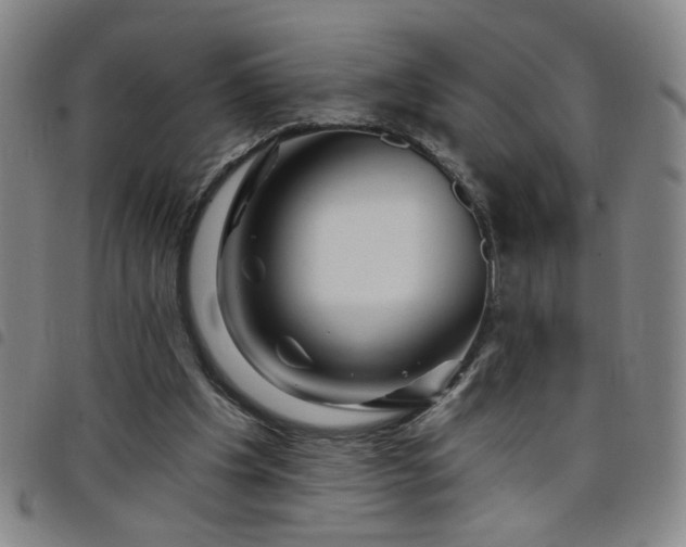 X0000098150201200804241748