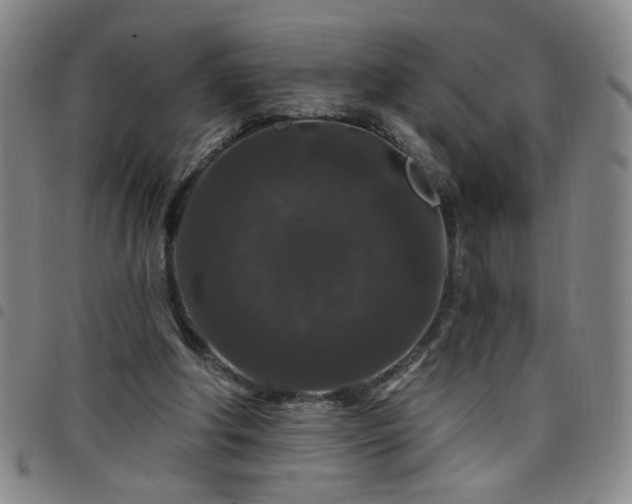X0000098150202200804241748