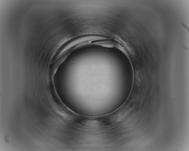X0000098150203200804241748