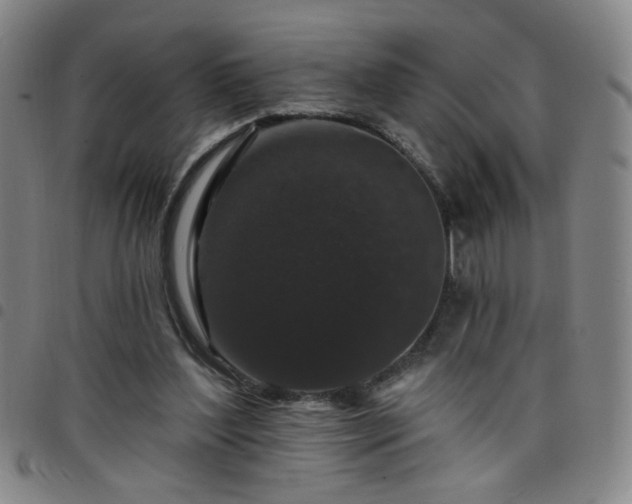 X0000098150204200804241748