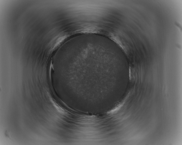 X0000098150205200804241748
