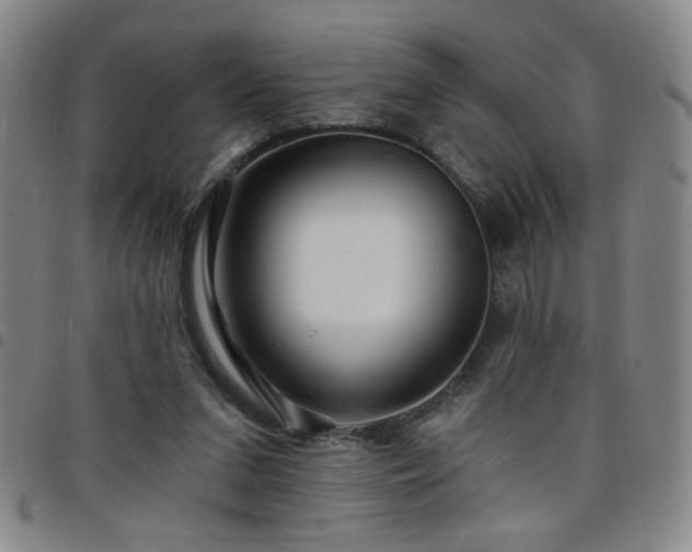 X0000098150207200804241748