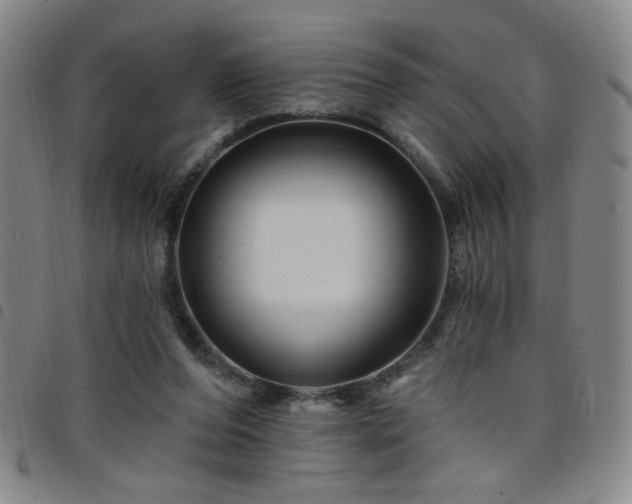 X0000098150208200804241748