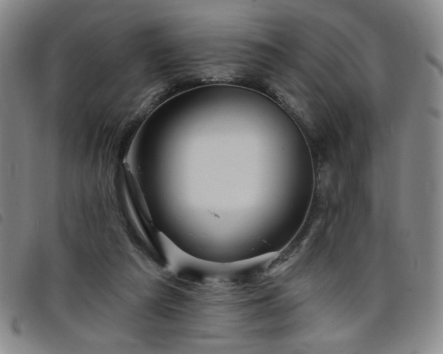 X0000098150209200804241748