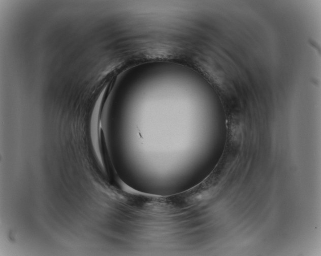 X0000098150211200804241747