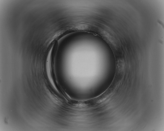X0000098150212200804241747
