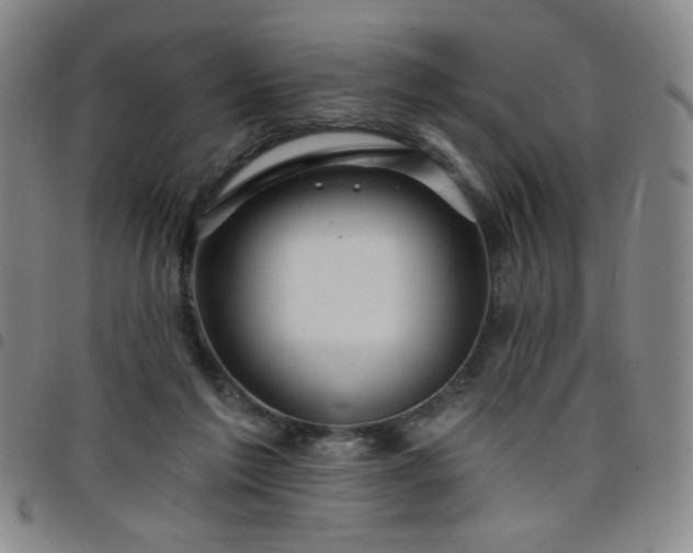 X0000098150213200804241747