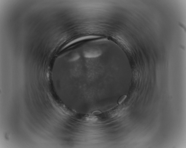 X0000098150214200804241747