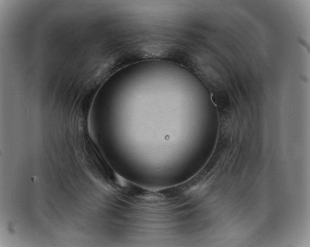 X0000098150215200804241747