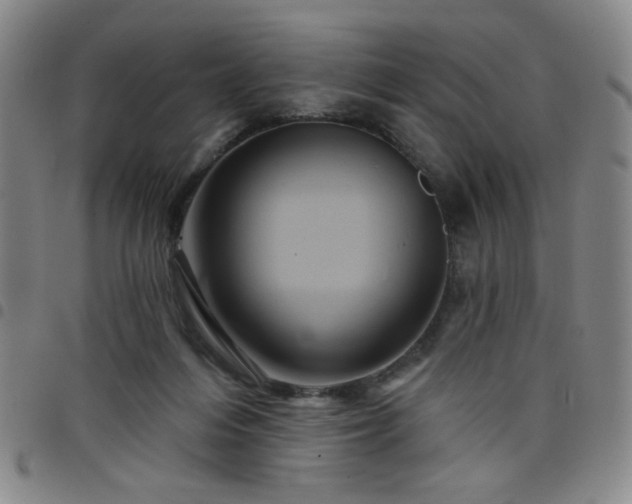 X0000098150216200804241747