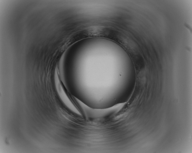 X0000098150217200804241747