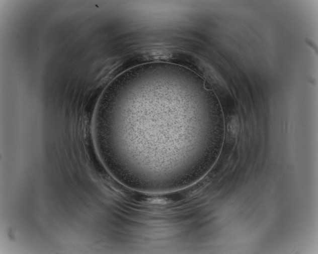 X0000098150218200804241747
